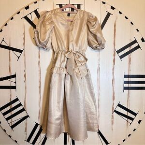 Puff Sleeves Gold Shimmer Dress